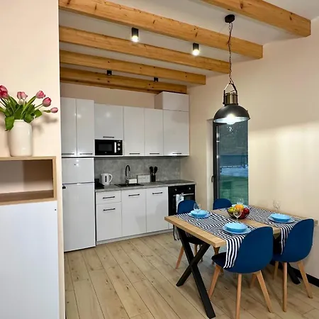 Relakstacja With Sauna And Jacuzzi Mieroszyno