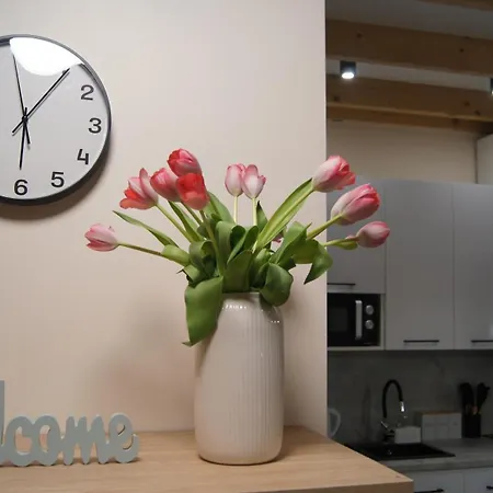 Relakstacja With Sauna And Jacuzzi