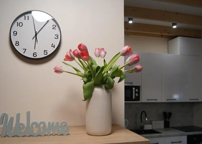 Relakstacja Klimatyzowane Z Sauną I Jacuzzi Blisko Jastrzębiej Góry